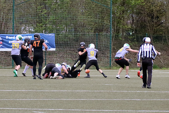 Salzburg Ducks gegen Domzale Tigers