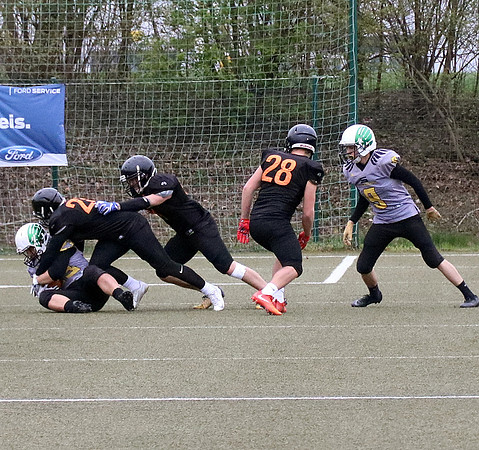 Salzburg Ducks gegen Domzale Tigers