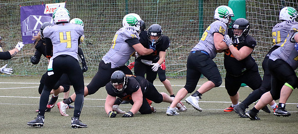 Salzburg Ducks gegen Domzale Tigers