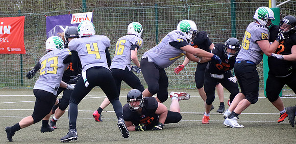 Salzburg Ducks gegen Domzale Tigers