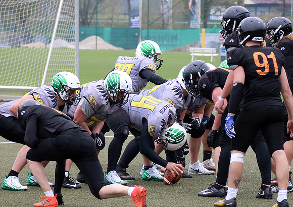Salzburg Ducks gegen Domzale Tigers