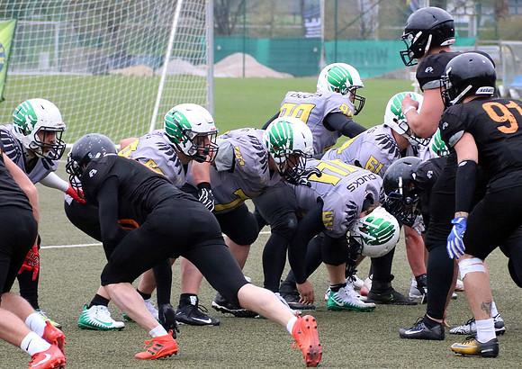Salzburg Ducks gegen Domzale Tigers