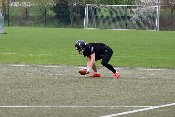 Salzburg Ducks gegen Domzale Tigers