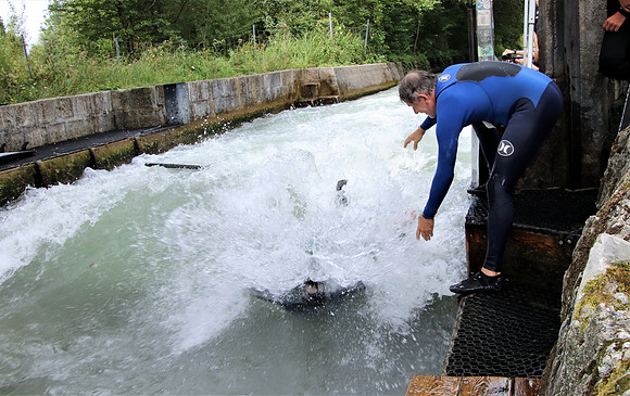 ALMjam Surf Testival