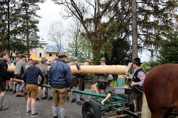 Maibaum Bad Vigaun 2022