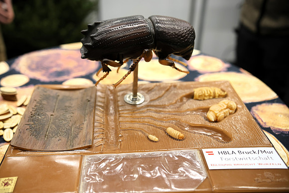 Hohe Jagd & Fischerei