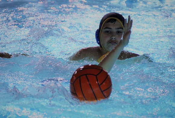 Wasserball Meisterschaft 2019