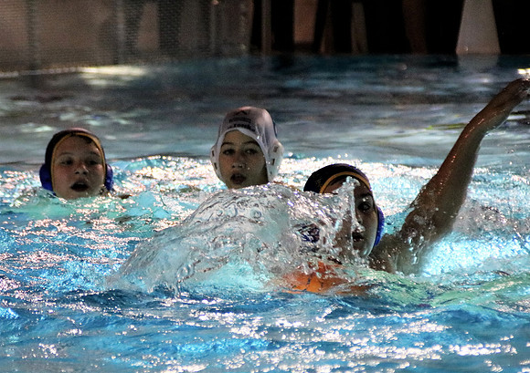 Wasserball Meisterschaft 2019