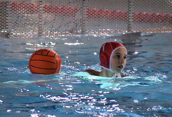 Wasserball Meisterschaft 2019