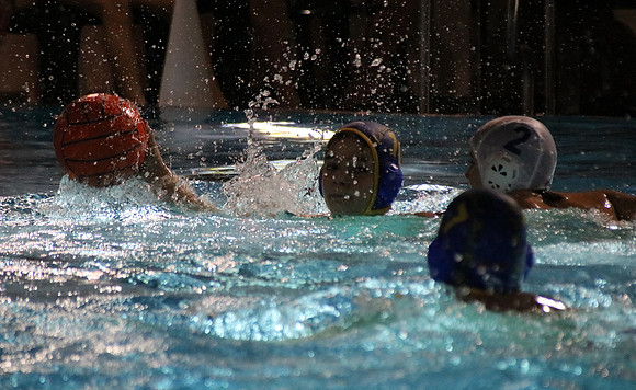 Wasserball Meisterschaft 2019