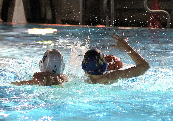 Wasserball Meisterschaft 2019