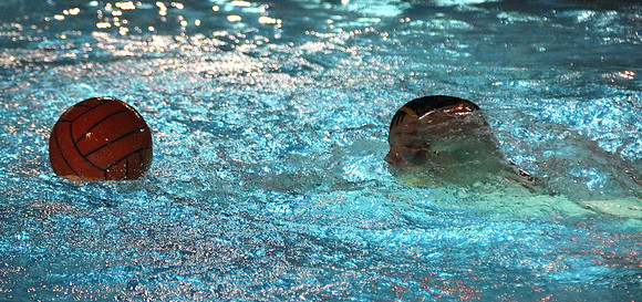 Wasserball Meisterschaft 2019