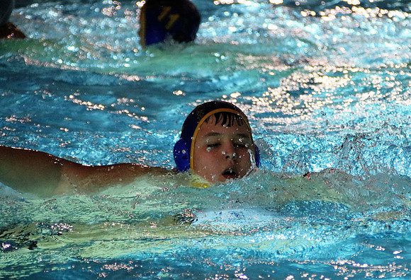 Wasserball Meisterschaft 2019