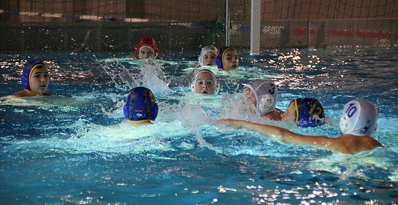 Wasserball Meisterschaft 2019