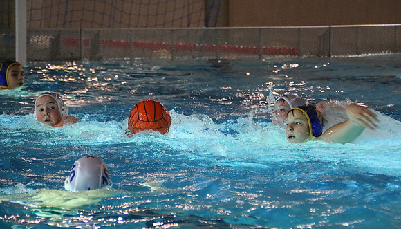 Wasserball Meisterschaft 2019