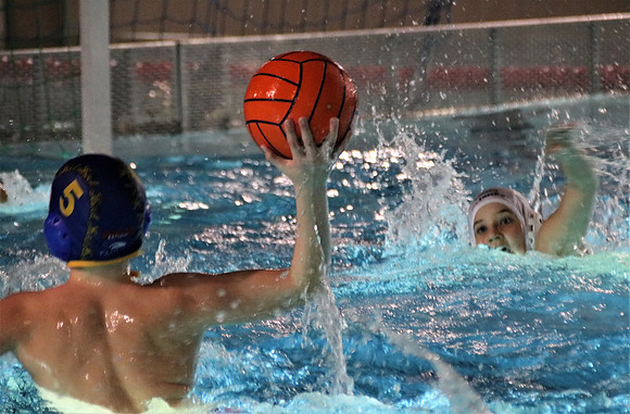 Wasserball Meisterschaft 2019