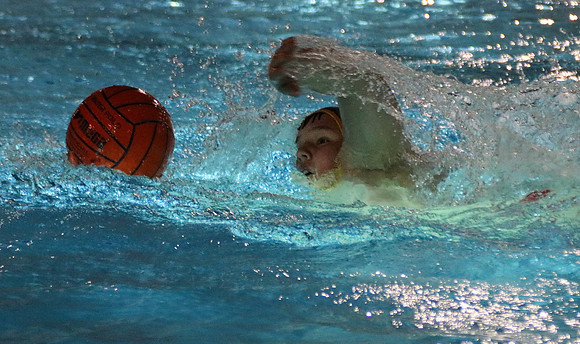 Wasserball Meisterschaft 2019