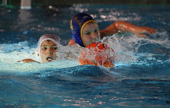 Wasserball Meisterschaft 2019
