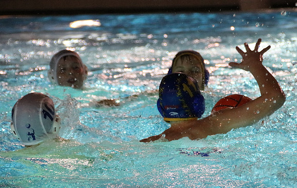 Wasserball Meisterschaft 2019
