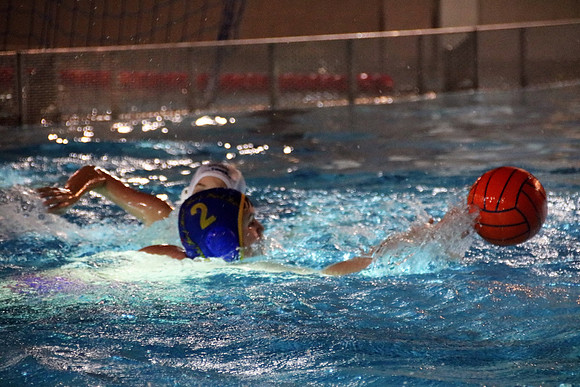 Wasserball Meisterschaft 2019