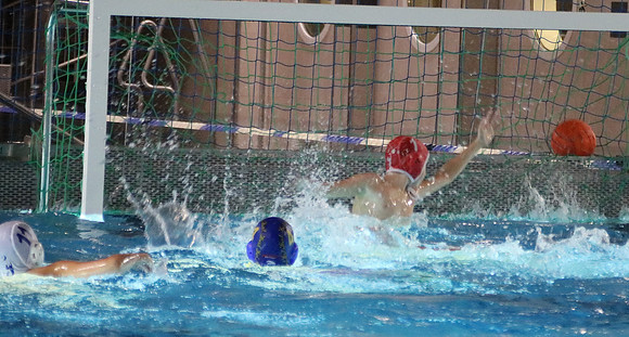 Wasserball Meisterschaft 2019