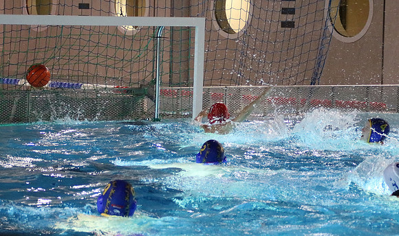 Wasserball Meisterschaft 2019