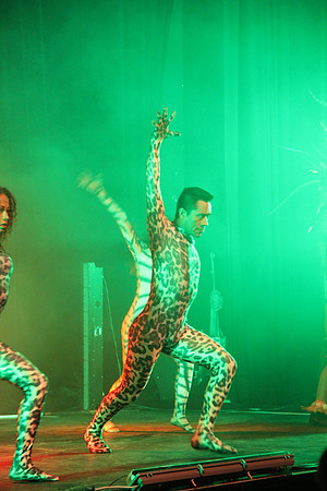 Night of the Dance