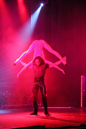 Night of the Dance