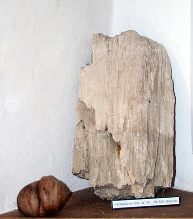 Pulvermacher Museum