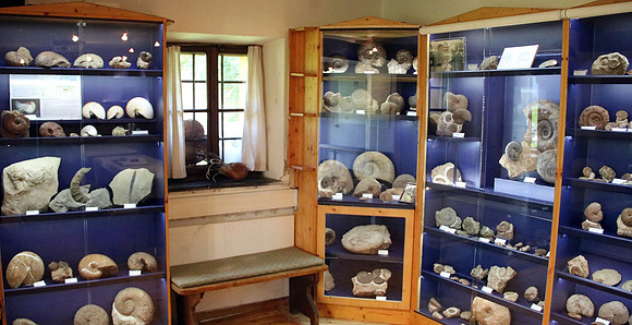 Pulvermacher Museum