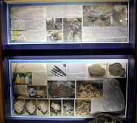 Pulvermacher Museum