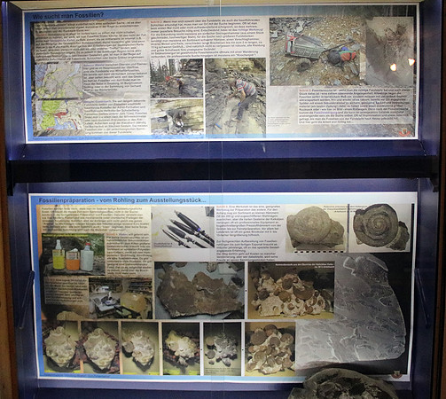 Pulvermacher Museum