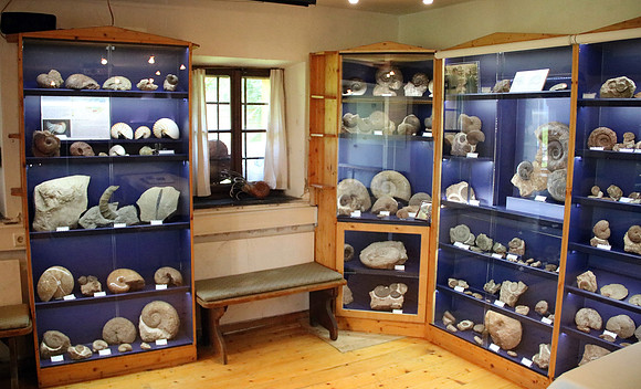 Pulvermacher Museum