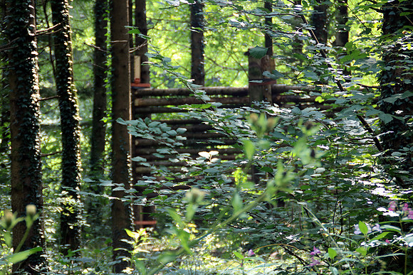 Aufbau Wildsau Dirt Run 2019
