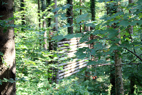 Aufbau Wildsau Dirt Run 2019