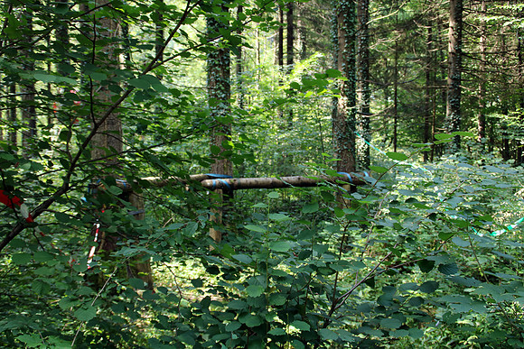 Aufbau Wildsau Dirt Run 2019
