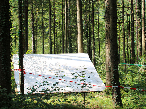 Aufbau Wildsau Dirt Run 2019