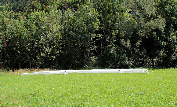 Aufbau Wildsau Dirt Run 2019