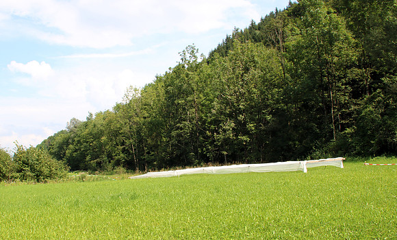 Aufbau Wildsau Dirt Run 2019