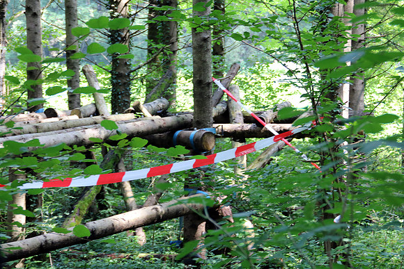 Aufbau Wildsau Dirt Run 2019