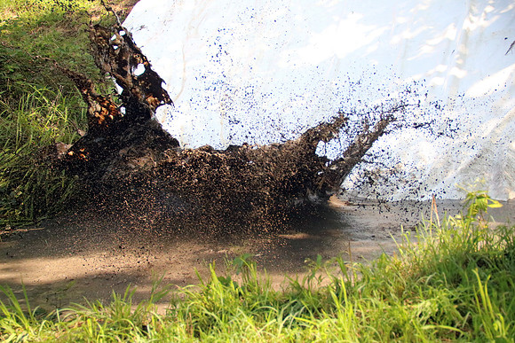 WILDSAU DIRT RUN 2019
