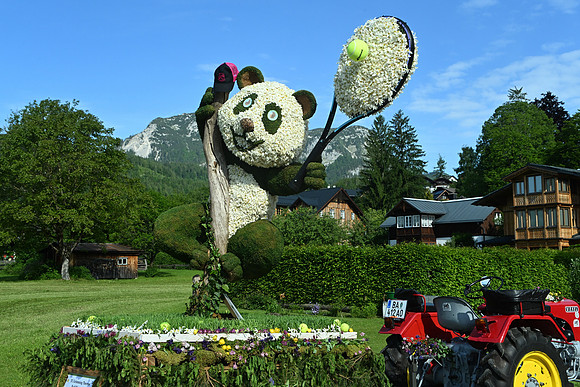 Bootskorso in Altaussee