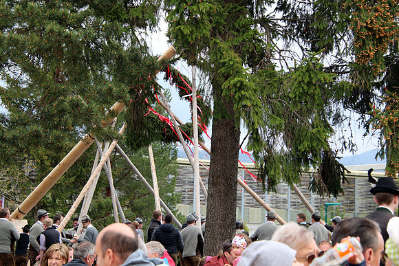 Maibaum Bad Vigaun 2022