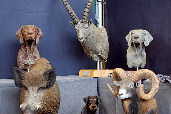 22.02.2024 Hohe Jagd