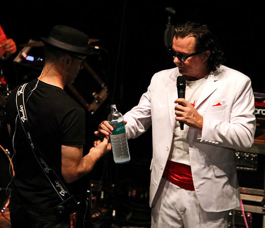 Falco Platinum - Stadttheater Hallein