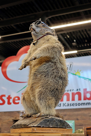 25.02.2024 Die Hohe Jagd & Fischerei