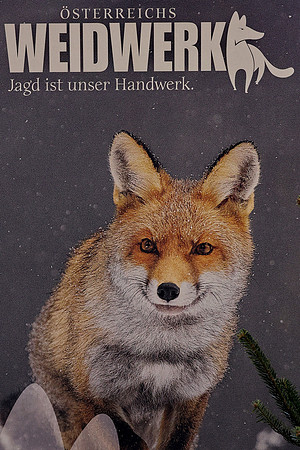 25.02.2024 Die Hohe Jagd & Fischerei