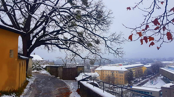 Winterimpressionen aus Salzburg