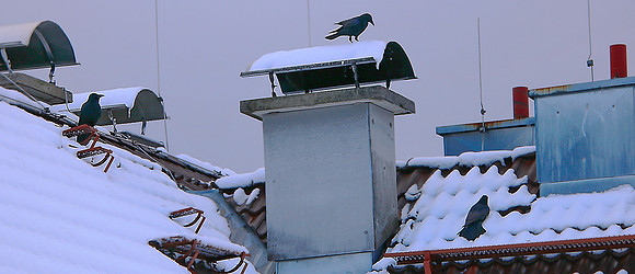 Winterimpressionen aus Salzburg