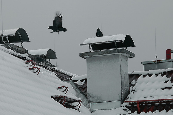 Winterimpressionen aus Salzburg